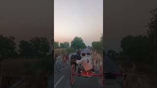 Dharmpuri se trolley.bailgadi race#com #cow 