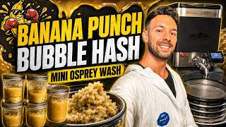 Banana Punch Extraction with the Mini Osprey | Cultivating with Athena