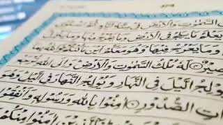 Emotional Heart touching Quran Tilawah | Qari Hamza Soharwardi | Surah Hadid