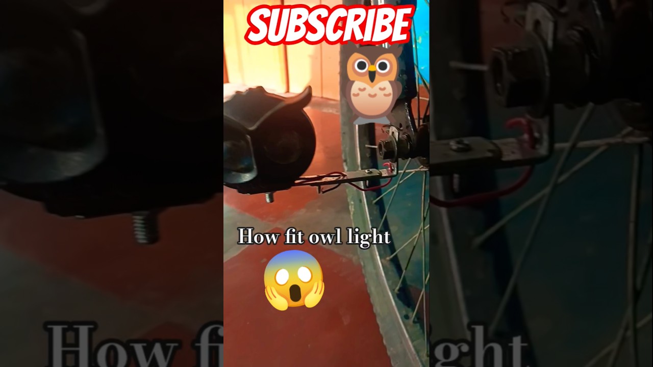 How fit Owl light 💯/