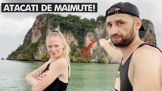 Ce Poti Face In Krabi!? Invazia Maimutelor Din Railay Beach! 🇹🇭