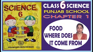 6th SCIENCE CHAPTER 1 FOOD: WHERE DOES IT COME FROM?  new book (WITH QUESTION ANSWER) PSEB