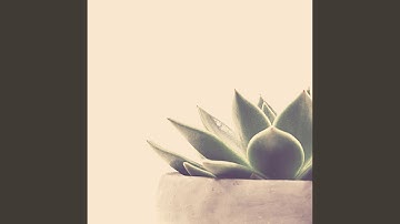 Subdued Backdrops for Calmin and Nature