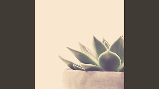Subdued Backdrops for Calmin and Nature