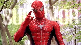 Survivor | Spider-Man (Tobey Maguire)