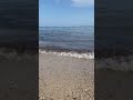 ☀️⛱️🐚🌊