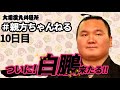 ついに！白鵬が初登場！親方ちゃんねる生配信　＜令和3年十一月場所・10日目＞SUMO