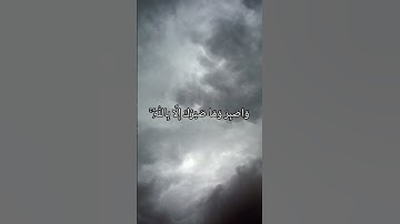 وَاصْبِرْ وَمَا صَبْرُكَ إِلَّا بِاللَّهِ ۚ || سورة النحل || فارس عباد