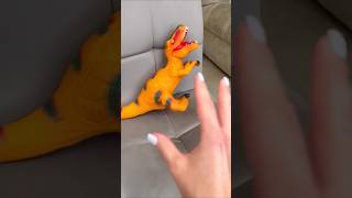 Whyyy? By Leisi Family