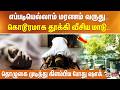 எப்படியெல்லாம் மரணம் வருது.. கொடூரமாக தூக்கி வீசிய மாடு.. தொழுகை முடித்து கிளம்பிய போது ஷாக்..