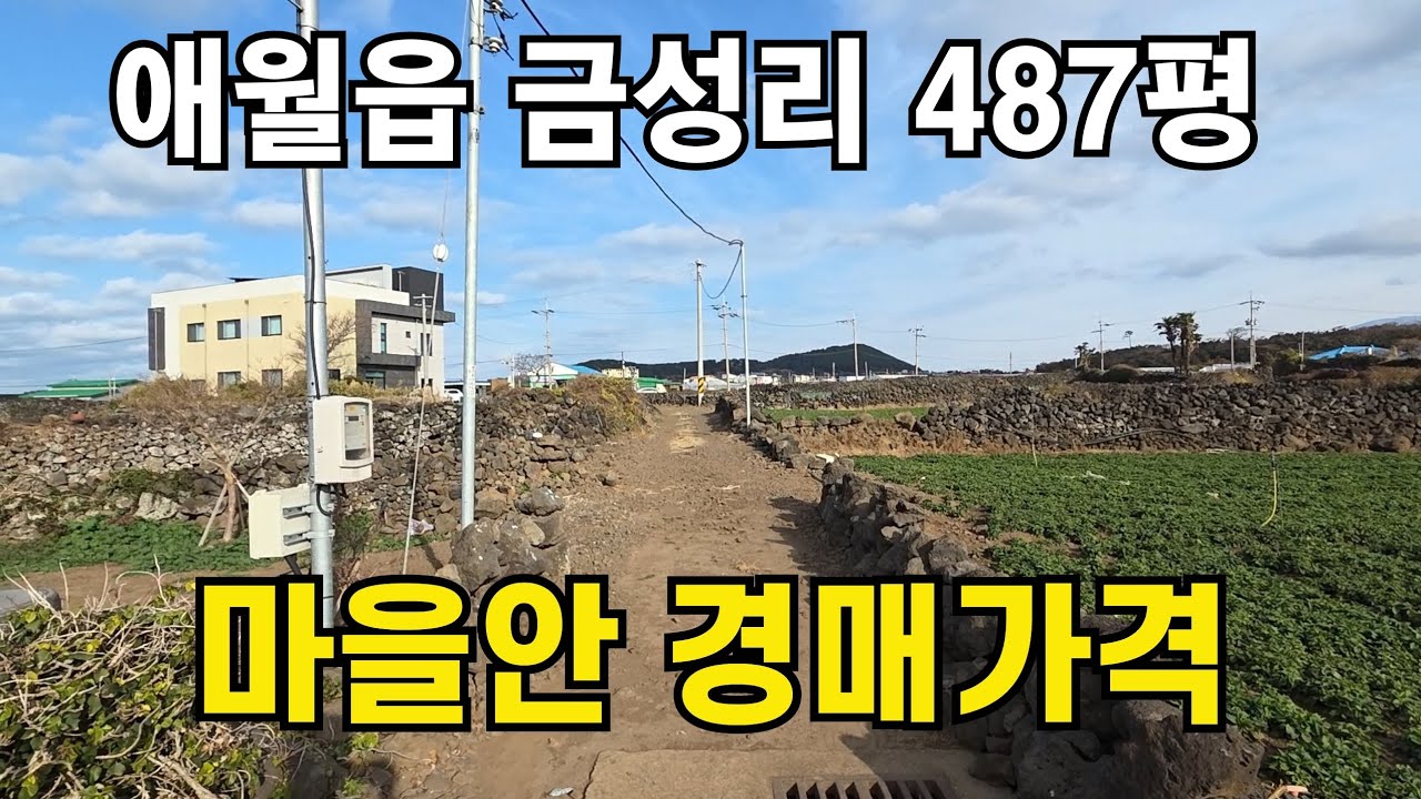 제주시 애월읍 금성리 마을안 487평 010 4436 0401 