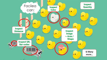 Demonstration of common application examples using Facilea