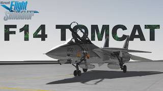 DC Designs F-14 vs IndiaFoxtEcho F-14 | Same Jet, VERY Different Experience (MSFS 2020)