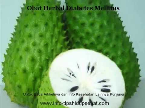Obat Herbal Diabetes Mellitus