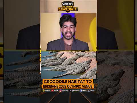 Olympic Rowing With Crocodiles Below? | WION Shorts