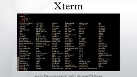 Xterm