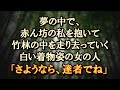 【不思議 切ない】あの人が最後に私を連れていこうとしたのか、母に返そうとしたのか、それはわからないけれど…。 【朗読・字幕】