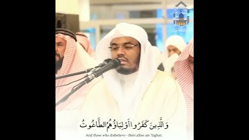 تلاوه خاشعه لغريد الحرم الشيخ ياسر الدوسري