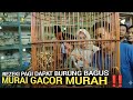 PASAR BURUNG ! SIAPA CEPAT DIA DAPAT MURAI GACOR FULSET MURAH DI PASAR BURUNG PRAMUKA HARI INI