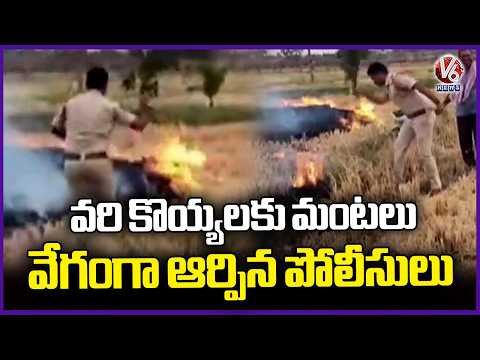 Paddy Stubble Fire Brought Under Control by Police in Hanumakonda | V6 News - V6NEWSTELUGU