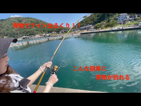 福井県の釣り堀特集 ひるが海上釣り堀ってどんなところ 福井県の釣り堀特集 ひるが海上釣り堀ってどんなところ