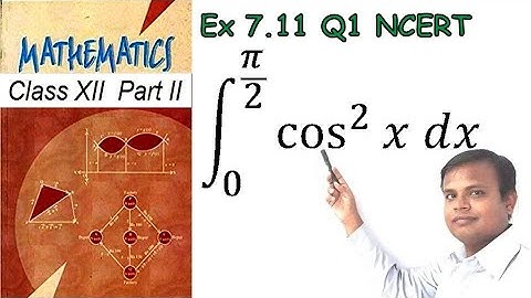 Integrals Class 12 Maths NCERT | Exercise 7.11 Q 1 | IIT JEE