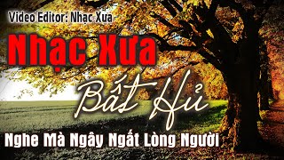 Nhạc Xưa Bất Hủ Nghe Mà Ngây Ngất Lòng Người | Dòng Nhạc Tình Ca Hải Ngoại Vượt Thời Gian