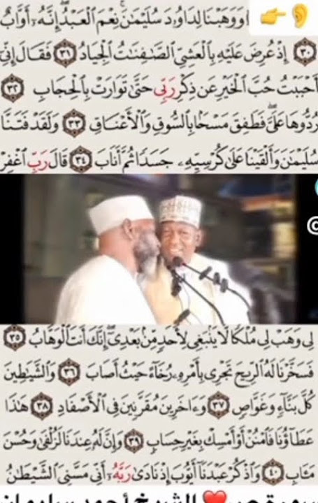 #Quran#QuranRecitation#QuranKareem#QuranTilawah#Surah#Ayah#QuranDaily#QuranVerses#QuranHealing