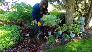 Planting at Laura's Parents Home