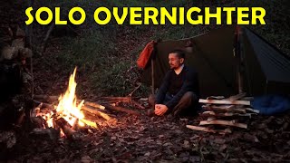 2 DAYS SOLO Bushcraft Overnight with Tarp Shelter - Cooking Pork and Veggies on Grill