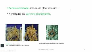 Grade 12 Biology Chapter 4 & 4.1
