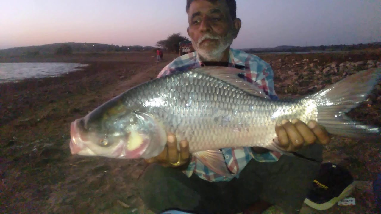 Hubli to fishing Mylari