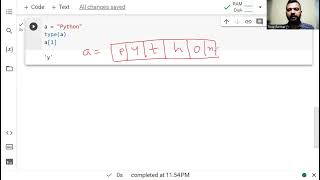 01 - Master Python Programming Step-by-Step - Python Variables