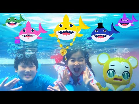 Baby Shark | Kids English Song  ベイビーシャーク　＊クマーバコラボ　＊英語のうた