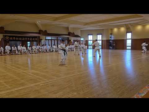 2024 WMKA World Seminar Okinawa Enbu Demonstration Of Fukyugata 1 Kata And Pinan 4