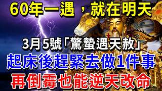 60年一次，就在明天！3月5號「驚蟄遇天赦」，起床後趕緊去做1件事，再倒霉也能逆天改命！|萬事皆福 #運勢 #風水 #財運