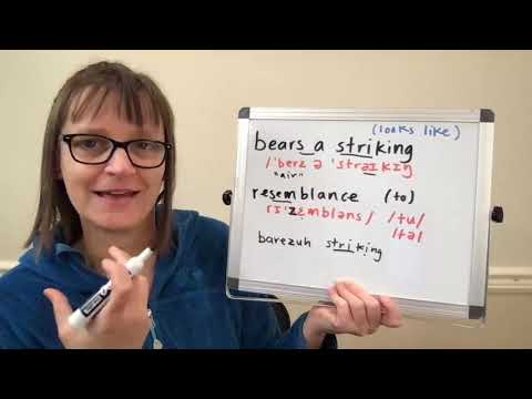 Free American Accent Training: Bears a Striking Resemblance (meaning, use and pronunciation)