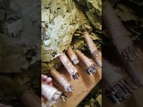 Канадский дубовый веник Богатырь