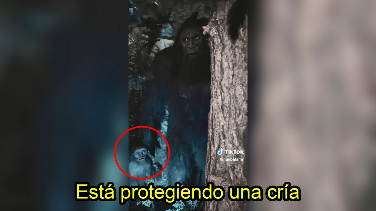 La PRUEBA MÁS GRANDE de la EXISTENCIA de PIE GRANDE GRABAN un PIE