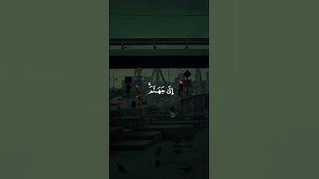 #عبدالرحمن_مسعد | #سورة_آل_عمران | #قرآن