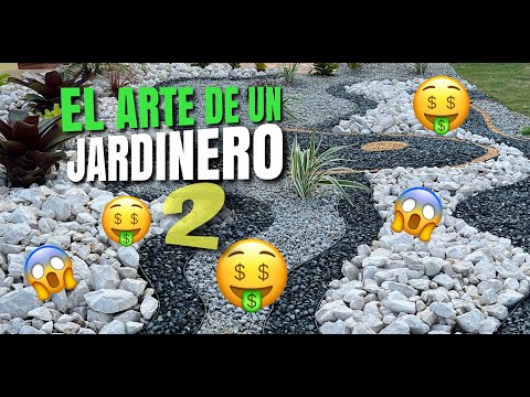 Vídeo: Suculentes en un jardí de roques: plantar un jardí de roques amb suculentes