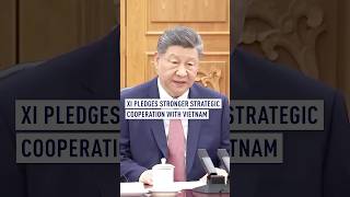 Xi pledges stronger strategic cooperation with Vietnam