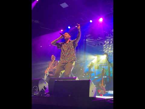 Video Iris