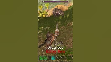ARK ASCENDED : Dino Baby Rex and baby Owis taming #ark #sigma #shorts