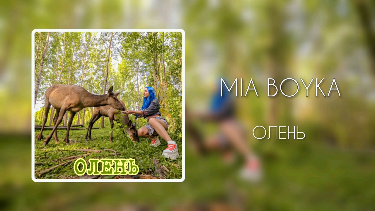 Олене бойко. Миа Бойко олень. Миа Бойко ПРЯТКИ. Алень Mia Boyka текст.