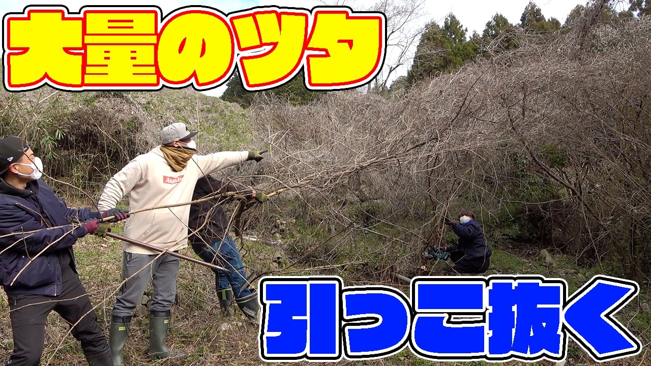 【YouTubeで50万回再生】うね草取りまー VA ロング ASU-VA17 Mountain Revival Part 2 #73] Pulling out the tangled ivy was so