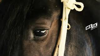 Segunda Serie Libre B - 77° Campeonato Nacional de Rodeo
