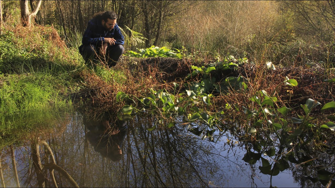 My Favorite Mistake | Cleaning Our Natural Pond