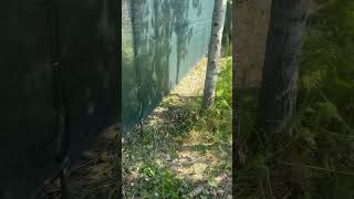 Супер дешевый забор !!!
