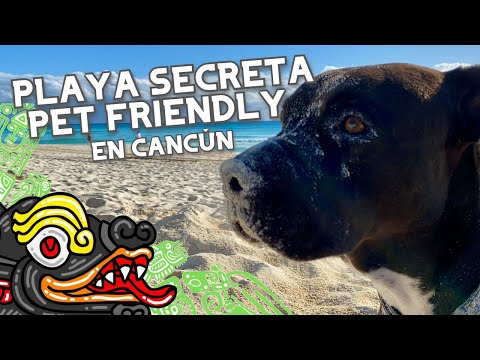 Playa Pet Friendly Secreta En Cancún / San Miguelito